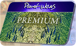premium card 2