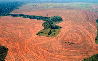 Area deforested by soybean farmers in Novo Progresso, Brazil, in 2004. Destruction of the world's largest rainforest increased by 29 percent in 2013 from the previous year, reversing what had been a downward trend. Photo by Alberto Cesar/Greenpeace. 