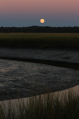 Perigee Aries Full Moon rising over Scarborough Marsh, Maine, Sept. 27, prior to the eclipse. Photo by Amanda Painter.