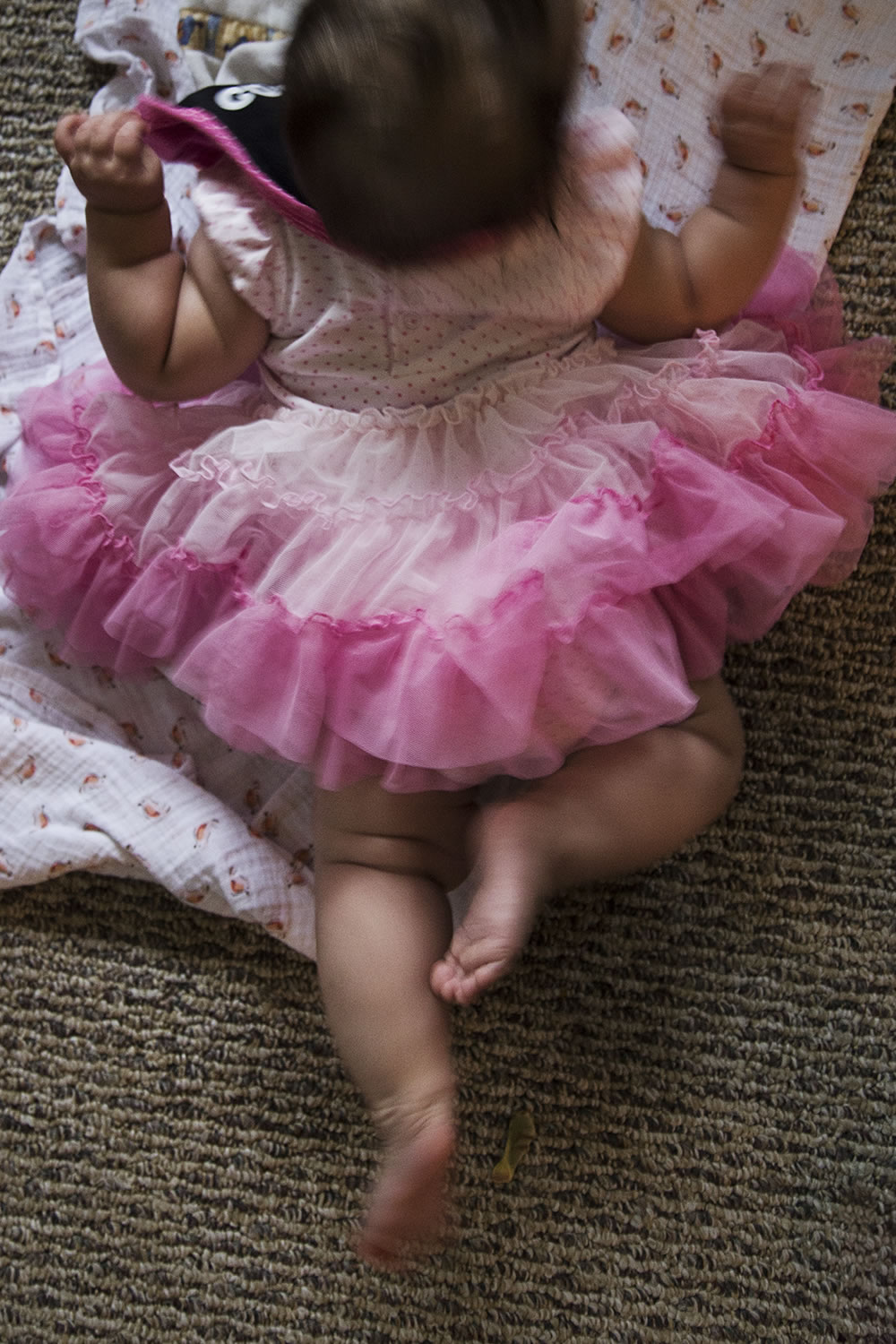 Baby in her first party dress, giving belly dancing a new definition.   