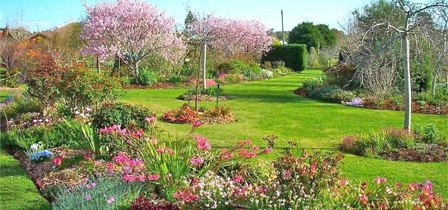 spring-garden