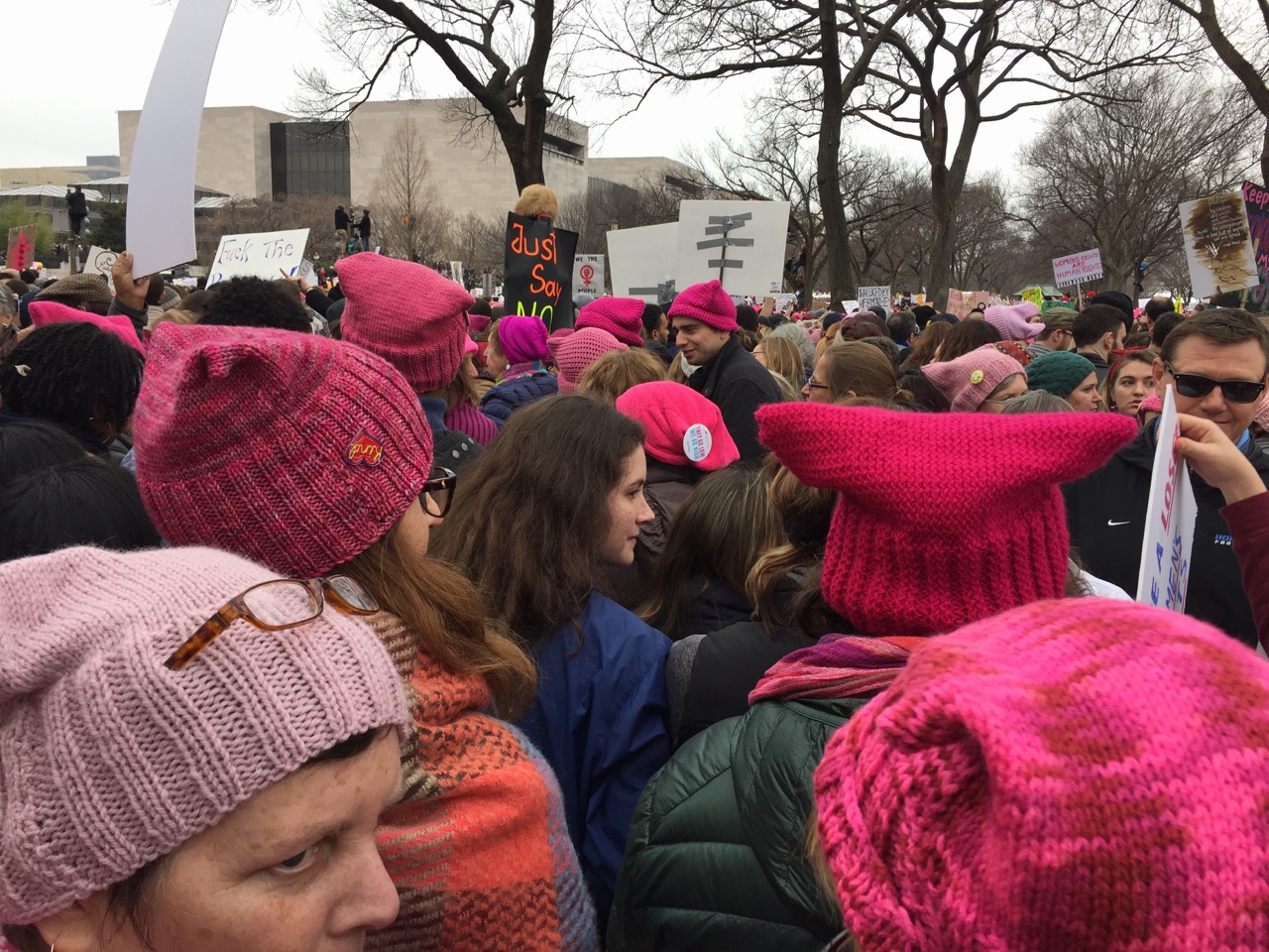 Pussy Hats
