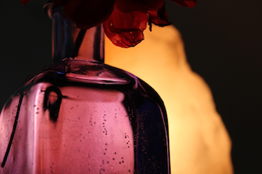 Dahlia, blue vase  and salt lamp; photo by Amanda Painter.