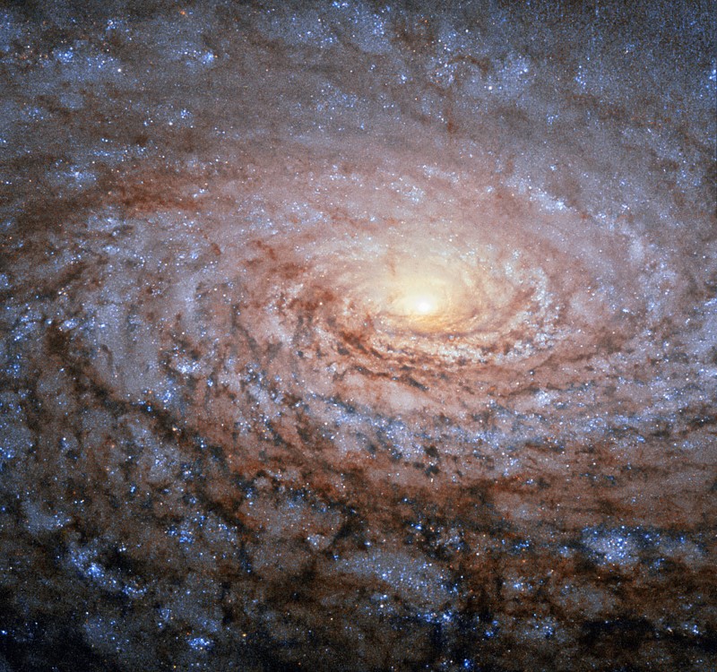 Spiral galaxy Messier 63, also known as the Sunflower Galaxy, captured by the Hubble Space Telescope. Image by NASA/GSFC.