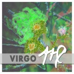 virgo-2019