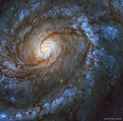 M100, known as a 'grand design' galaxy, is 56 million light-years away, and is similar to our Milky Way. Studies of variable stars in M100 have played an important role in determining the size and age of the Universe. Photo by NASA/ESA/Hubble.  