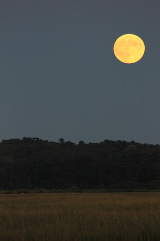 The 2015 Aries Full Moon; photo by Amanda Painter.
