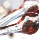 Rosehips in ice; photo by Amanda Painter.